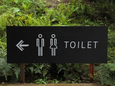 About Expert Porta Potty Rentals
